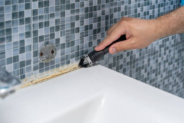Best Mold Testing  in Shenandoah, LA